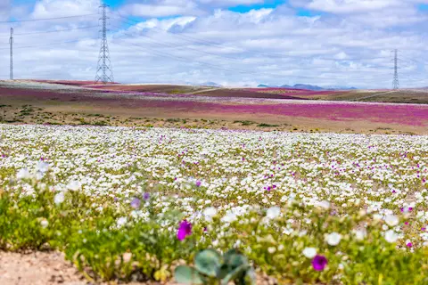 Another panoramic view of the impressive landscape.